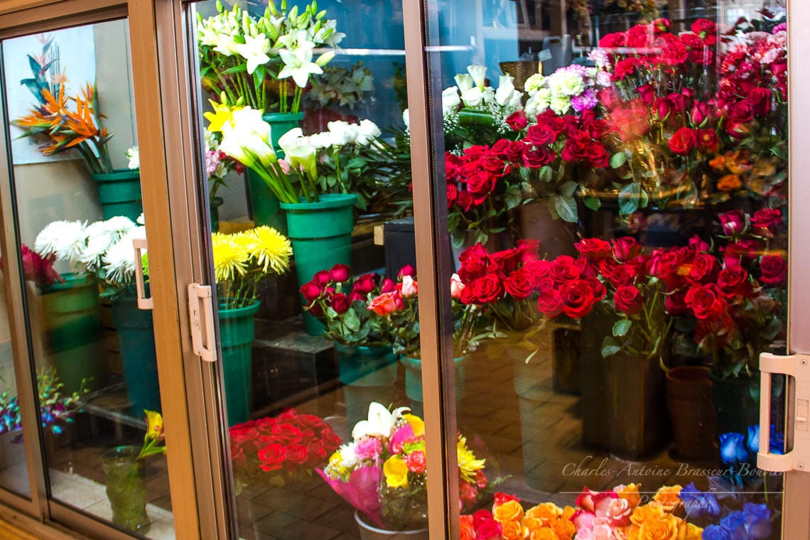 About Fleuriste La Mode Florist Livraison Delivery Montreal, QC